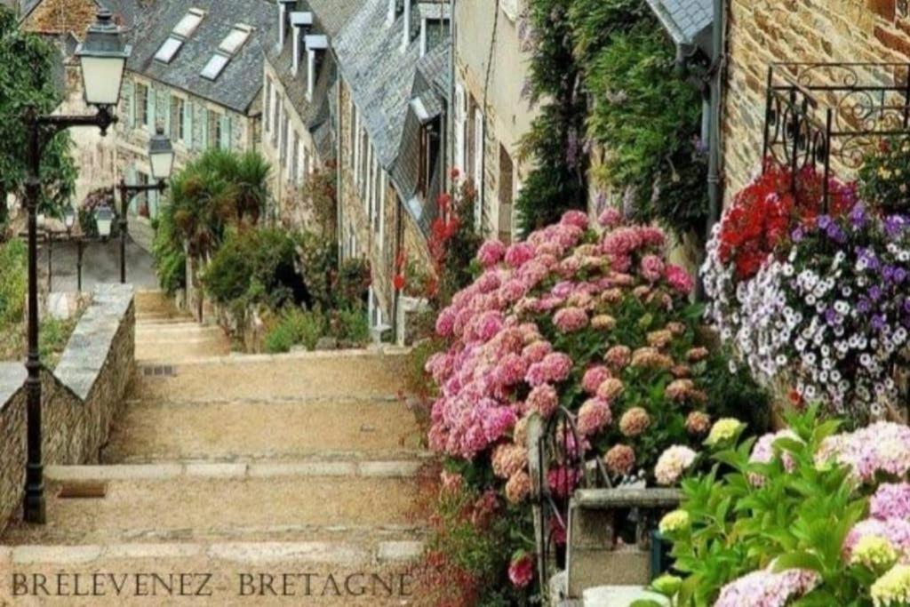 Maison Du Martin Pecheur A Lannion Eksteriør bilde